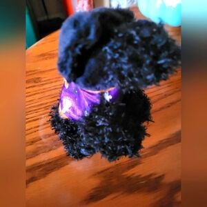 Specialty Beanie Baby - Retired Halloween Themed Puppy is Tremble